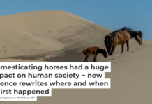 Horses supported travel, communication, agriculture and warfare across much of the ancient world. Wolfgang Kaehler/LightRocket via Getty Images